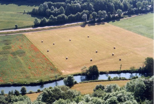 Blick von Burgruine